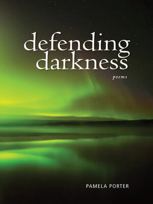 cover image of Defending Darkness